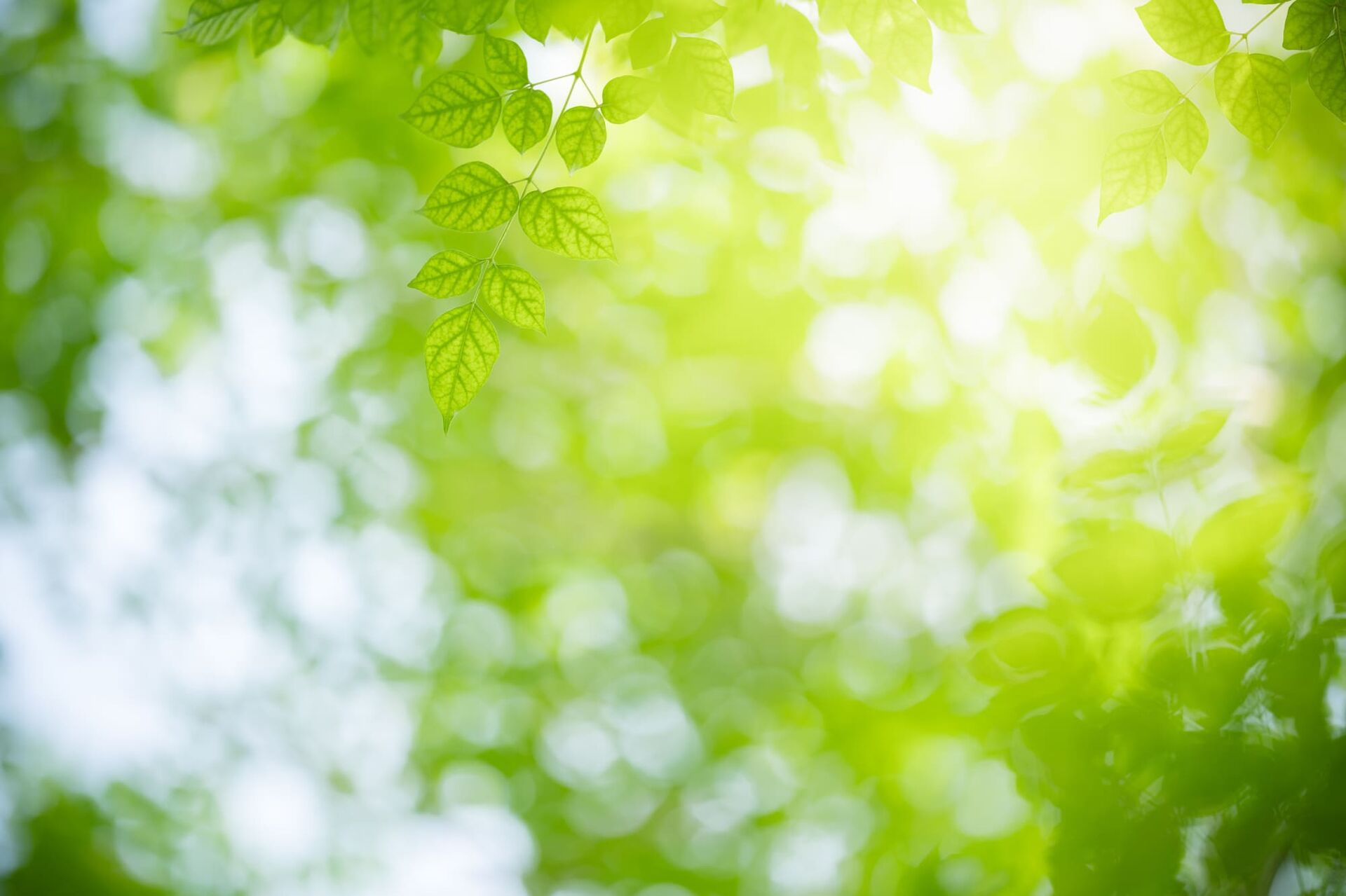 相続手続きについて